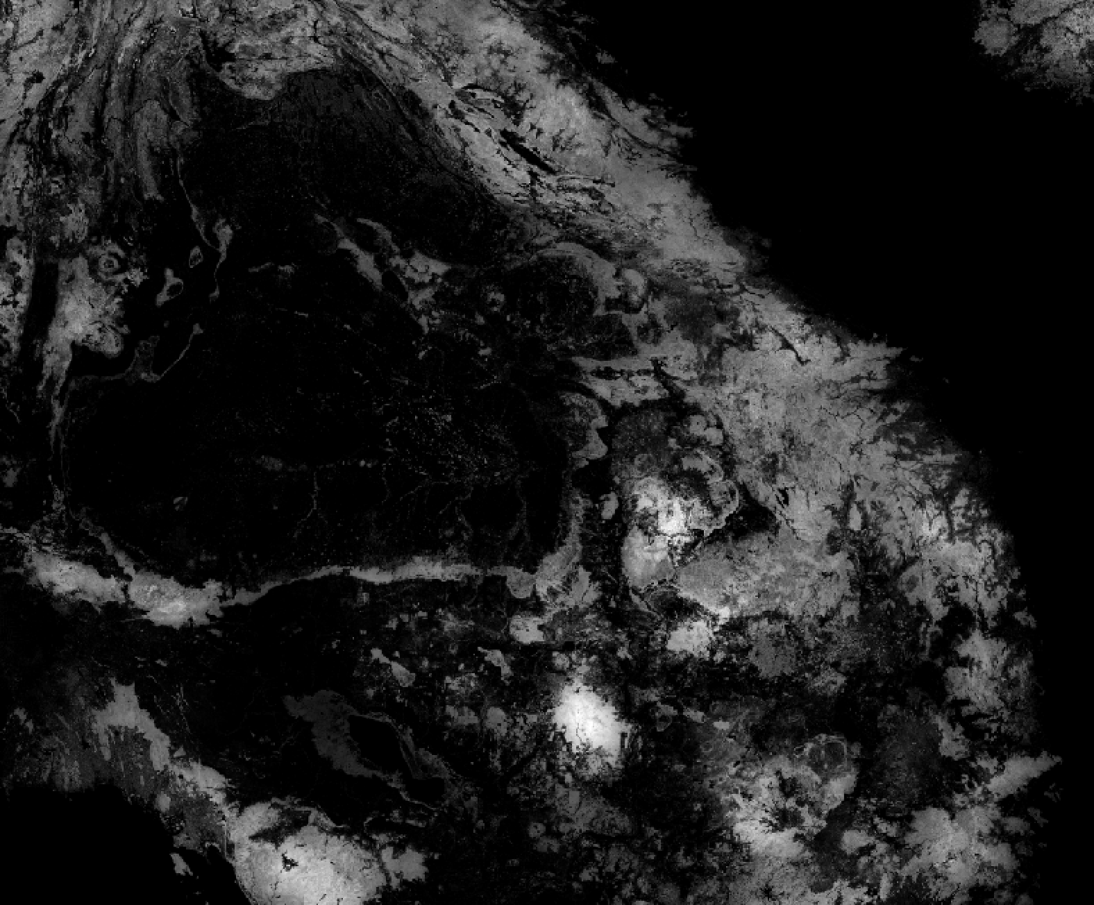 Happy I do not have to open QGIS everytime to calculate the AGB of squares! (Dark means high AGB)